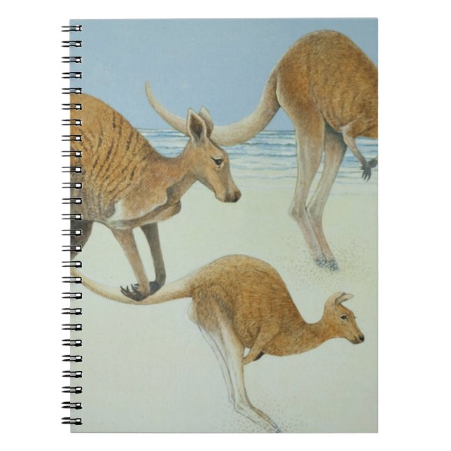 Carnet Saut en avant (Devant)