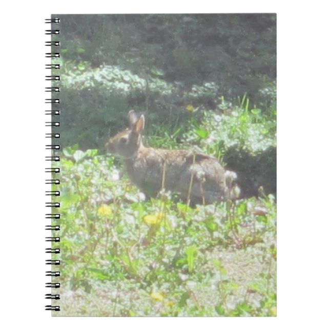 Carnet sauvage de Bunny (Devant)