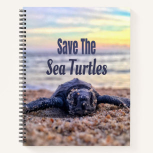 Carnet Sauvez les tortues marines