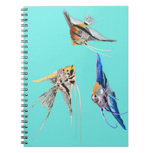 Carnet Scalar fish