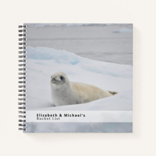 Carnet Sceau blanc classique Liste des bouchons neige hiv