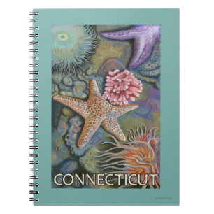 Carnet Scène de ConnecticutTidepool