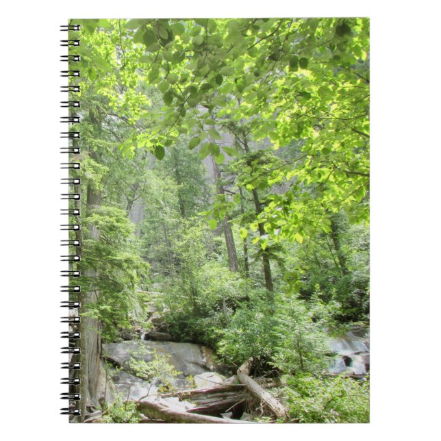 Carnet Scène de Forêt Verte Magique. (Devant)