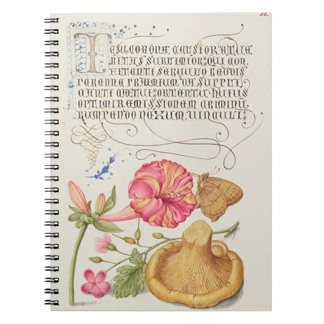 Carnet Scène de jardin avec fleurs, papillon et champigno (Devant)