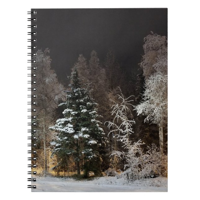 Carnet Scène de nuit forestière hivernale cosy (Devant)