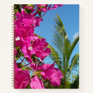 Carnet Scène naturelle tropicale de bougainvillée et de p