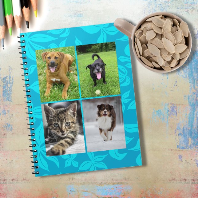 Carnet School Four Photo Blue Flowers Classroom (Créateur téléchargé)