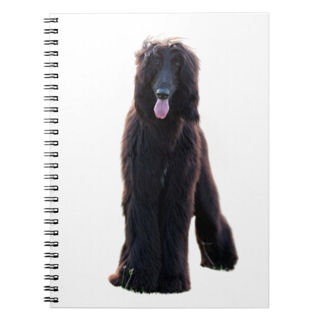 Carnet Schwarzer Afghane (Devant)