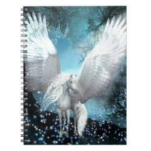 Carnet Scintillement Pegasus