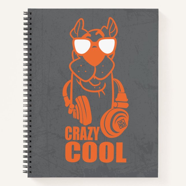 Carnet Scooby-Doo "Cool fou" casque graphique (Devant)