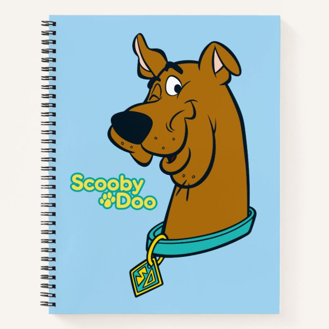 Carnet Scooby-Doo Winking (Devant)