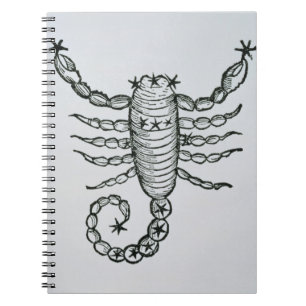Carnet Scorpion (le scorpion) une illustration du 'P