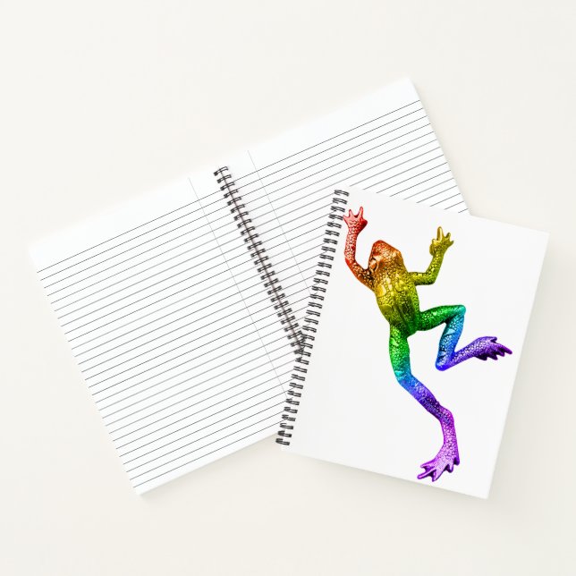 Carnet Sculpture de grenouille aux couleurs de l'arc-en-c (Intérieur)