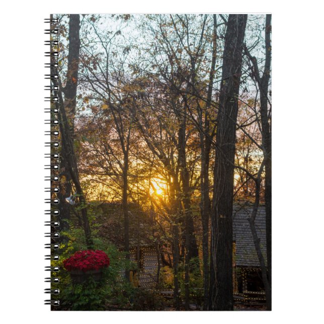 Carnet Sdc Woods Sunset (Devant)
