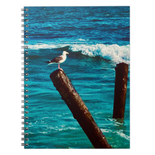 Carnet Sea Bird