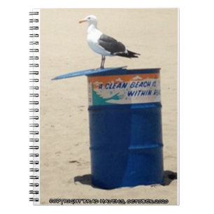 Carnet Seagull Guardian à Père Noël Monica Beach sur une