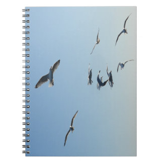 Carnet Seagulls in Flight Coastal Bird | Seaside