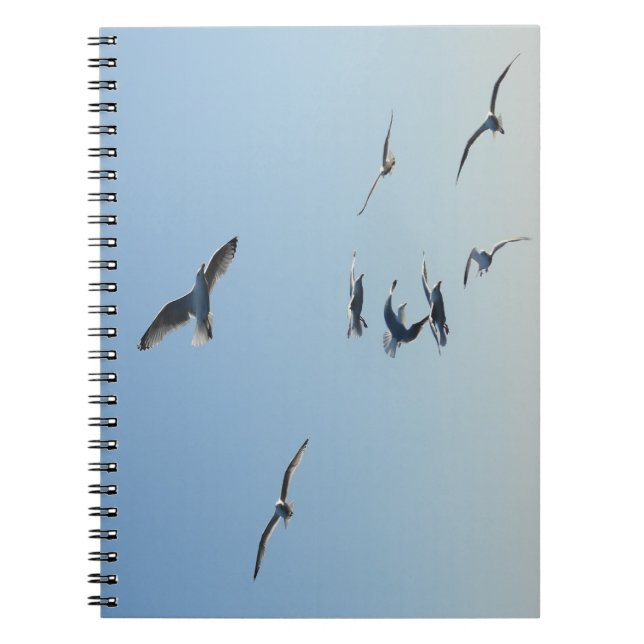 Carnet Seagulls in Flight Coastal Bird | Seaside (Devant)