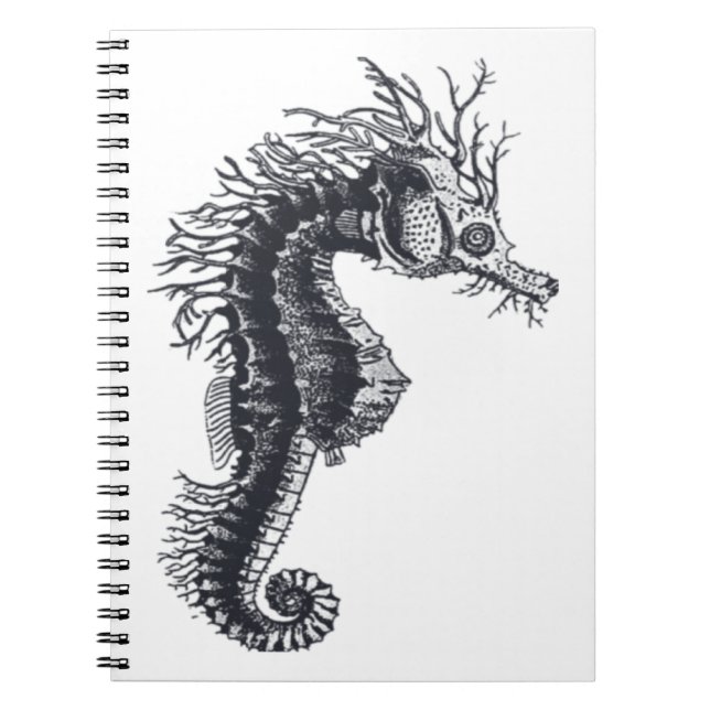 CARNET SEAHORSE (Devant)