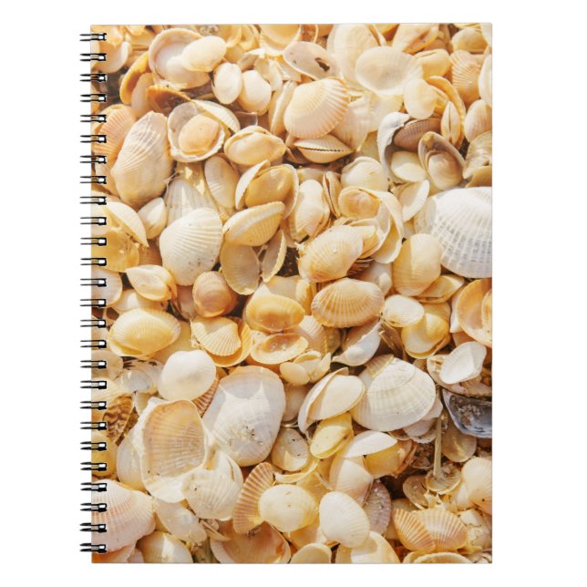 Carnet Seashell texturé arrière - plan de plage d'été. (Devant)