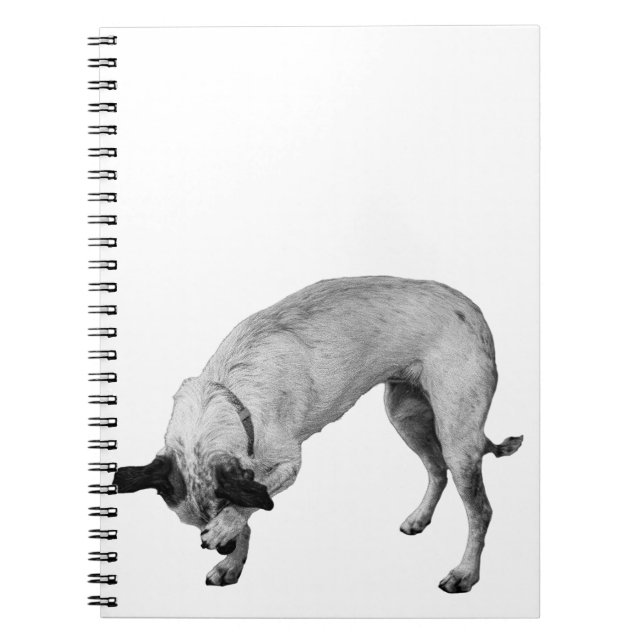 Carnet Secret Lists Terrier (Devant)