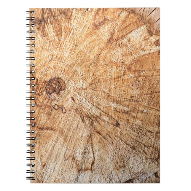 Carnet Section transversale du pommier (Malus)abstrait, b (Devant)