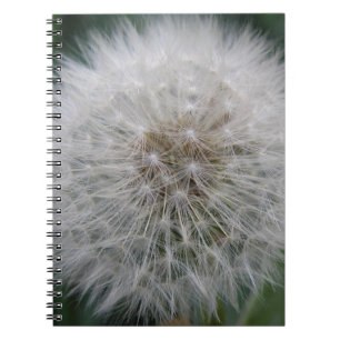 Carnet Seeding Dandelion Flower Notebook