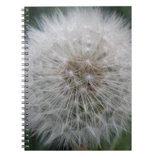 Carnet Seeding Dandelion Flower Notebook