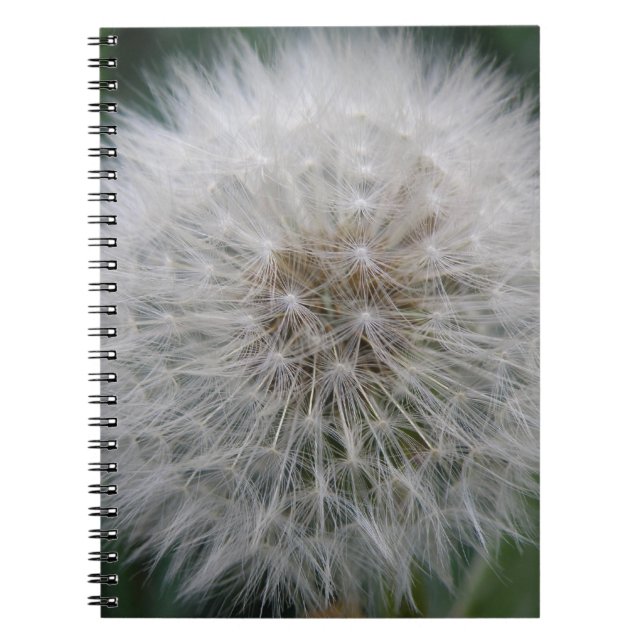 Carnet Seeding Dandelion Flower Notebook (Devant)