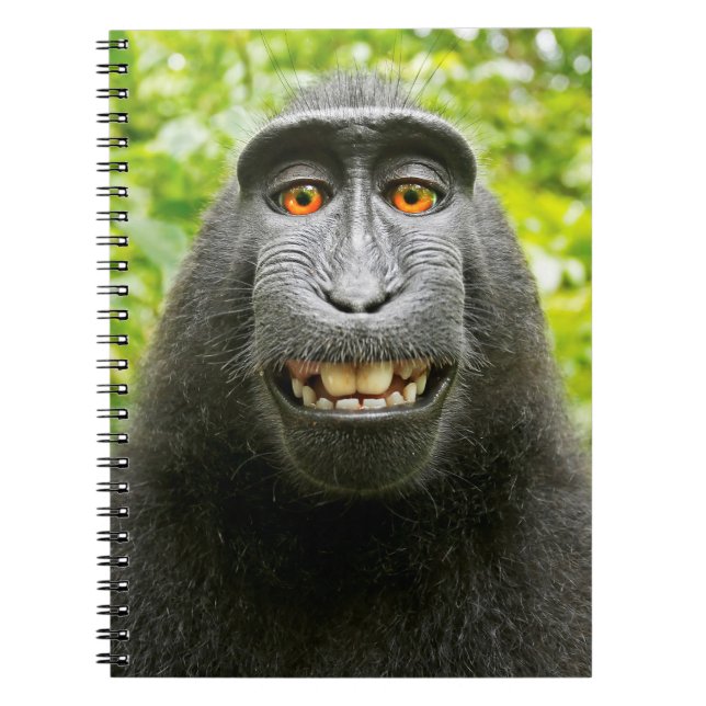 Carnet Selfie de singe (Devant)