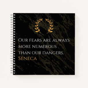 Carnet Seneca's Insight : Les peurs comparées aux dangers