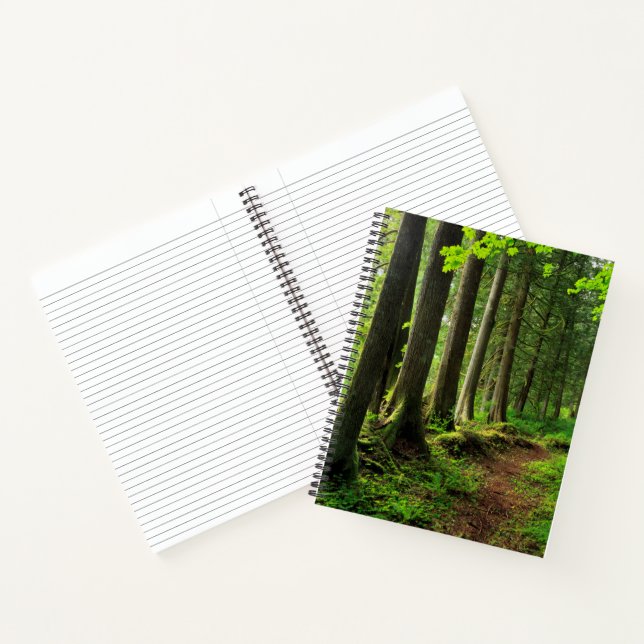 Carnet Sentier de la forêt verte Scénique (Intérieur)