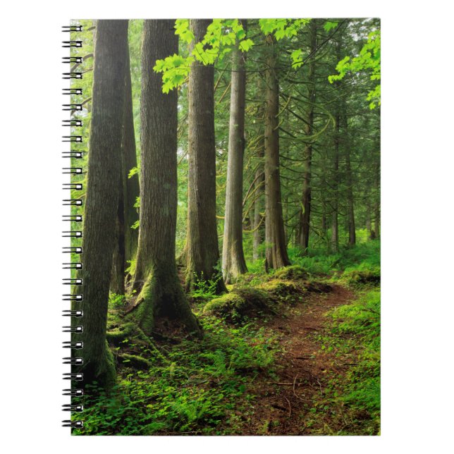 Carnet Sentier Scénique de la Forêt Verte (Devant)