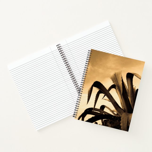 Carnet Sepia Aloe Plante (Intérieur)
