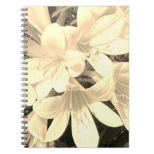 Carnet Sepia Blooms