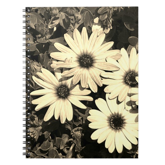 Carnet Sepia Fleur Faisy (Devant)