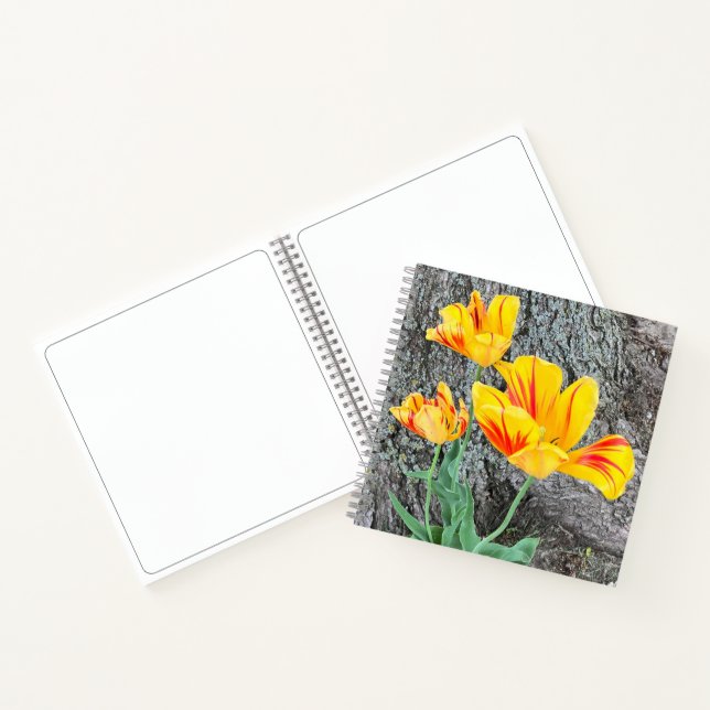 Carnet Séquence de trois tulipes jaunes / croquis (Intérieur)