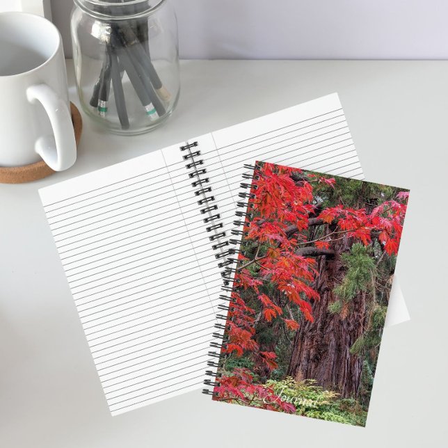 Carnet Séquoia géant et feuilles d'érable rouge (In Situ)