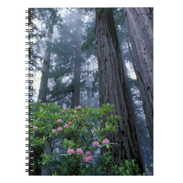 Carnet Séquoias côtiers et rhododendrons (Devant)