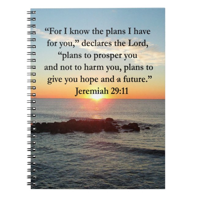 CARNET SERENE JEREMIAH 29:11 SCELER (Devant)