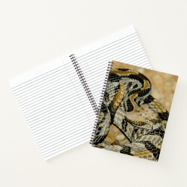 Carnet Serpent à sonnette en bois trempé (Intérieur)