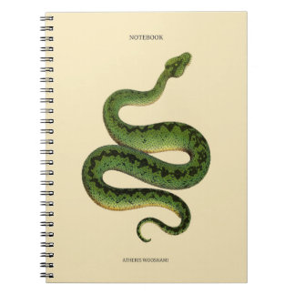 Carnet Serpent vert africain 