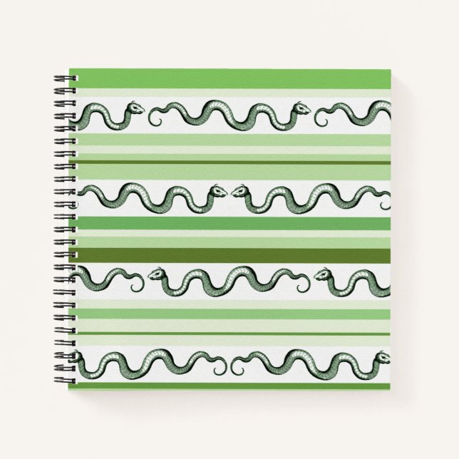 Carnet Serpents verts et motif rayé (Devant)