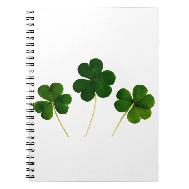 Carnet shamrock Jour de la Saint Patrick (Devant)