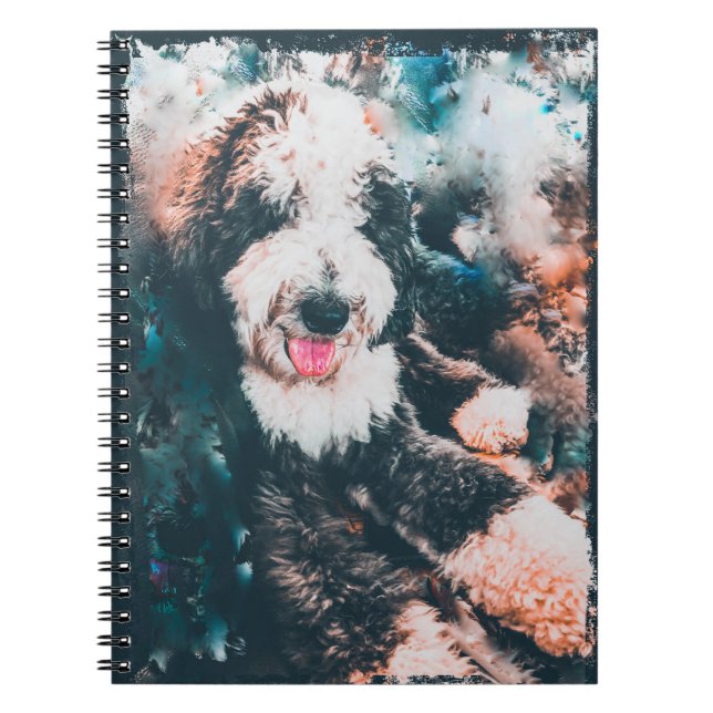 Carnet Sheepadoodle (Devant)