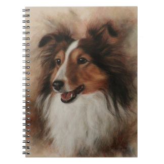 Carnet Shetland Sheepdog Sheltie sourire
