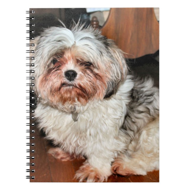 Carnet Shih Tzu (Devant)