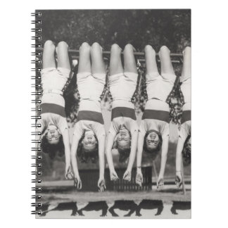 Carnet Showgirls sur les bars à singes, design ludique.