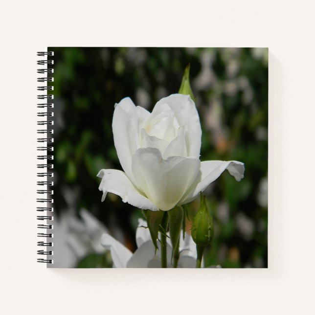 Carnet Si pure... (Devant)