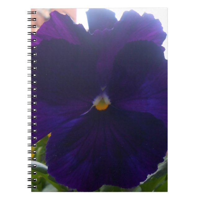 Carnet Sibylla (Devant)